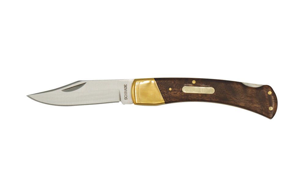 Golden Bear